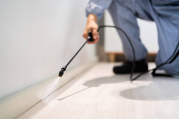 Licensed Pest Control service in St. Marys, GA - Show Me Pest Control