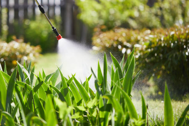 24/7 Emergency Wasp Removal experts in St. Marys, GA