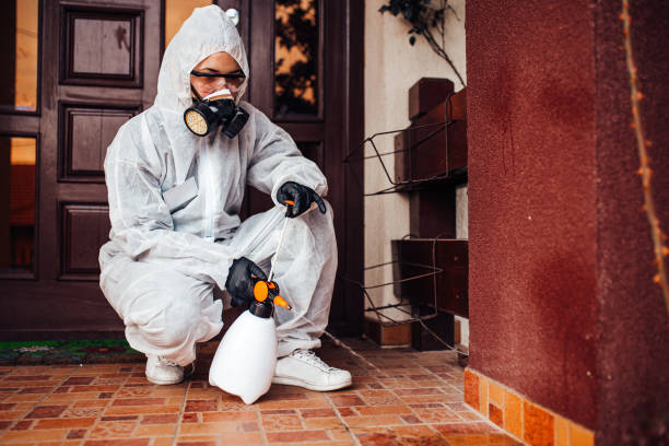 Reliable Wasp Removal contractor in St. Marys, GA by Show Me Pest Control